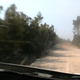 Illustration for article titled Rally Portugal Safety Car Catches Fire On Stage, Left To Burn
